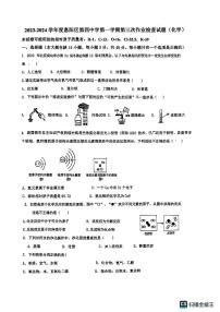 广东省惠州市第四中学2023-2024学年九年级上学期期中考试化学试卷