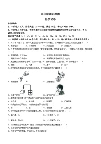 河南省开封市2023-2024学年九年级上学期期中化学试题