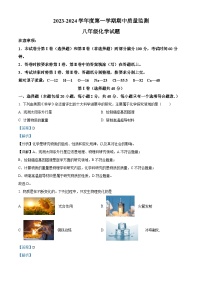 山东省泰安市宁阳县2023-2024学年八年级上学期期中化学试题（解析版）