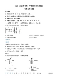 山东省烟台龙口市2023-2024学年九年级上学期期中化学试题（解析版）