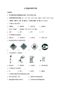 江苏省南京市玄武区2023-2024学年九年级上学期11月期中化学试题