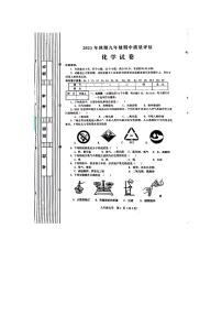 河南省南阳市淅川县2023-2024学年九年级上学期11月期中化学试题