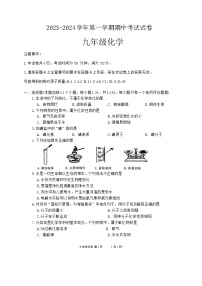 河南省濮阳市南乐县2023-2024学年九年级上学期期中考试化学试卷