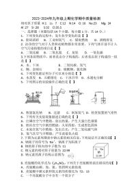 河南省驻马店市第四中学2023-2024学年九年级上学期11月期中化学试题