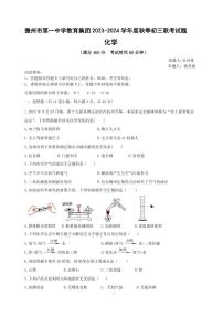 海南省儋州市第一中学教育集团2023-2024学年九年级上学期11月期中化学试题