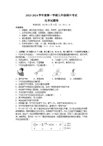 湖南省长沙市一中教育集团2023-2024学年九年级上学期期中考试化学试题