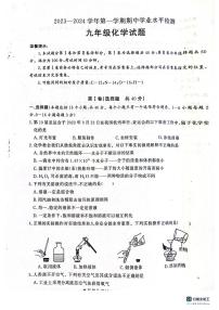 山东省聊城市冠县2023-2024学年九年级上学期11月期中化学试题