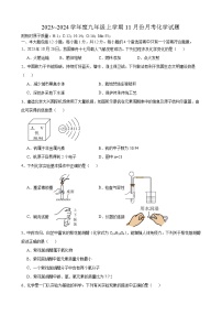 安徽省合肥市众望初级中学2023~2024学年九年级上学期11月月考化学试题