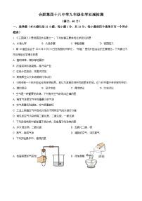 安徽省合肥市第四十八中学2023-2024学年九年级上学期10月双减检测化学试题