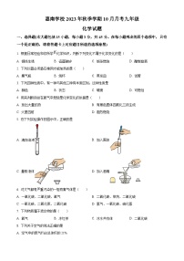 广东省惠州市惠南学校学校2023-2024学年九年级上学期10月月考化学试题