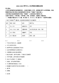 黑龙江省哈尔滨市香坊区德强中学2022-2023学年九年级上学期12月月考化学试题