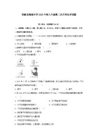 湖北省阳新县陶港镇初级中学2023-2024学年九年级上学期第二次月考化学试题