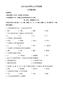 辽宁省大连市金州区一一八中学2023-2024学年九年级受上学期10月月考化学试题