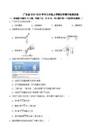广东省2023-2024学年九年级上学期化学期中检测试卷
