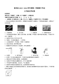 安徽省六安市霍邱县2023-2024学年九年级上学期11月期中化学试题