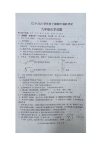 河南省周口市扶沟县2023-2024学年九年级上学期11月期中化学试题