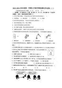 安徽省淮南市龙湖中学2023-2024学年九年级上学期11月期中化学试题