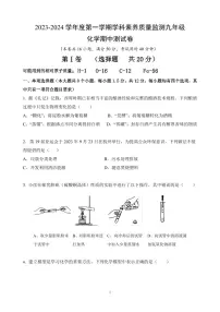广东省深圳市龙岗区2023-2024学年九年级化学上学期期中测试化学试卷
