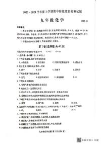 山东省临沂市兰山区2023-2024学年九年级上学期期中考试化学试题