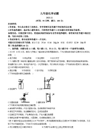 山东省潍坊市高密市2023-2024学年九年级上学期期中化学试题