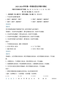 山东省威海市文登区重点中学联考2023-2024学年九年级上学期11月期中化学测试题（解析版）