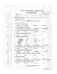 河南省商丘市夏邑县2023-2024学年九年级上学期11月期中化学试题