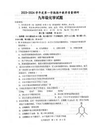 山东省济宁市鱼台县2023-2024学年九年级上学期11月期中化学试题