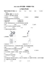 2023-2024学年河南省商丘市夏邑县九年级（上）期中化学试卷