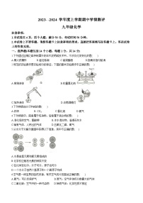 2023-2024学年河南省驻马店市平舆县九年级（上）期中化学试卷