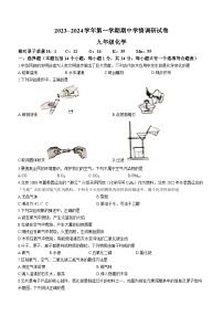 河南省周口市郸城县2023-2024学年九年级上学期期中化学试题