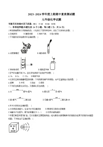 河南省驻马店市汝南县2023-2024学年九年级上学期期中化学试题