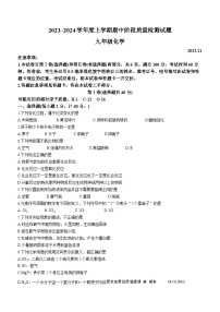13，山东省临沂市兰山区2023-2024学年九年级上学期化学期中检测试题