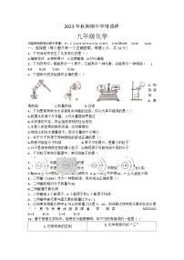 21，河南省南阳市桐柏县2023-2024学年九年级上学期11月期中化学试题