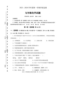 山东省济宁市金乡县2023-2024学年九年级上学期期中考试化学试题