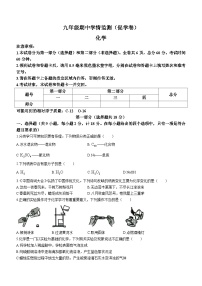 陕西省西安市蓝田县2023-2024学年九年级上学期期中质量检测化学试卷