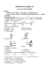 2023年河南省信阳市光山县光山县河棚乡中学中考三模化学试题