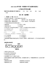 山东省德州市武城县2023-2024学年九年级上学期期中化学试题