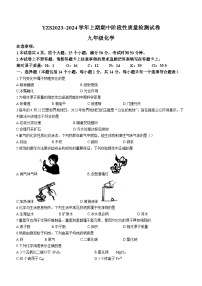 河南省许昌市禹州市2023-2024学年九年级上学期期中化学试题