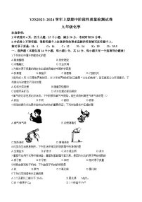 河南省许昌市禹州市2023-2024学年九年级上学期期中化学试题