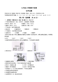 山东省泰安市新泰市2023-2024学年九年级上学期期中化学试题