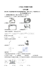 山东省泰安市新泰市2023-2024学年八年级上学期期中化学试题