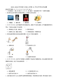 安徽省安庆市桐城市老梅初级中学2023~2024学年九年级上学期11月份月考化学试题