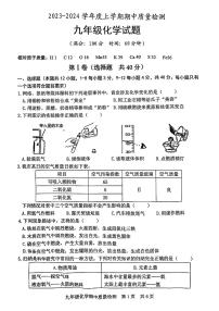 山东省日照市岚山区2023-2024学年上学期九年级期中考试化学试卷