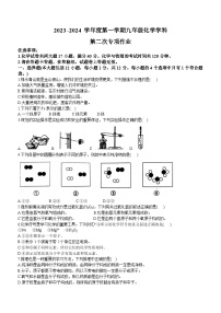 安徽省淮南市2023-2024学年九年级上学期11月期中化学试题