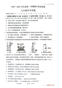 山东省菏泽市单县2023-2024学年九年级上学期11月期中化学试题