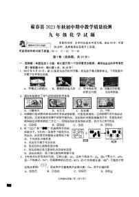 湖北省蕲春县2023-2024学年九年级上学期期中考试化学试题