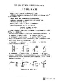 山东省聊城市莘县2023-2024学年九年级上学期期中化学试题