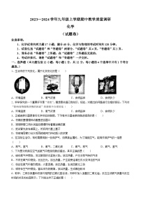 安徽省宿州市砀山铁路中学2023-2024学年九年级上学期期中化学试题