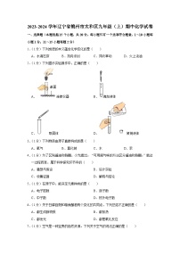 2023-2024学年辽宁省锦州市太和区九年级（上）期中化学试卷