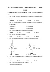 2023-2024学年重庆市开州区文峰教育集团九年级（上）期中化学试卷